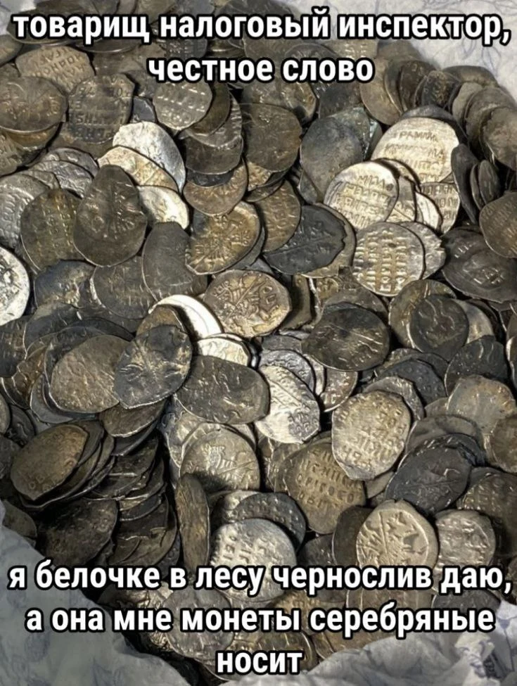 20241213_213355.webp