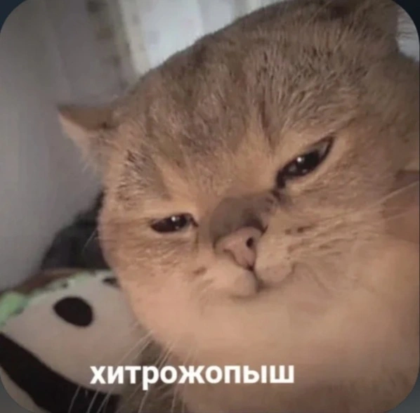 20251221_173839.webp