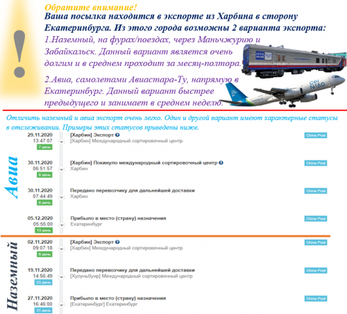 21570748.webp