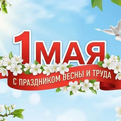 222.webp