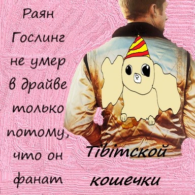 2222.webp