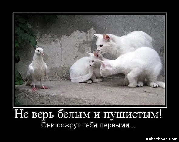 22557050.webp