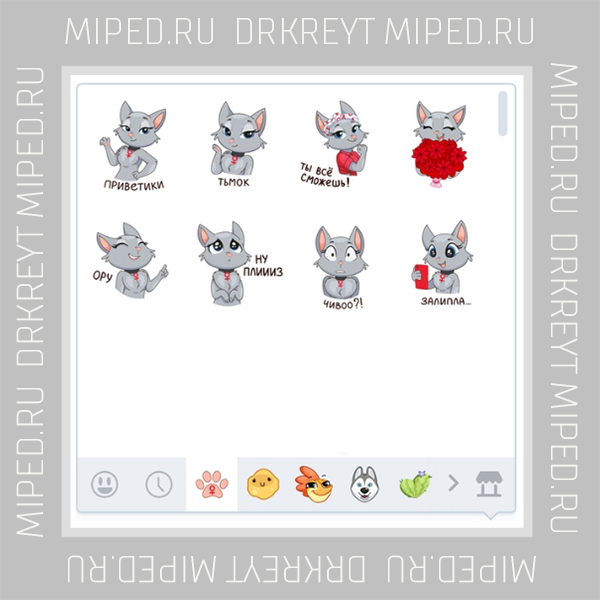 231231.webp