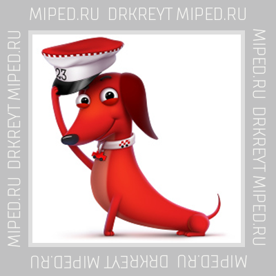 231231.webp