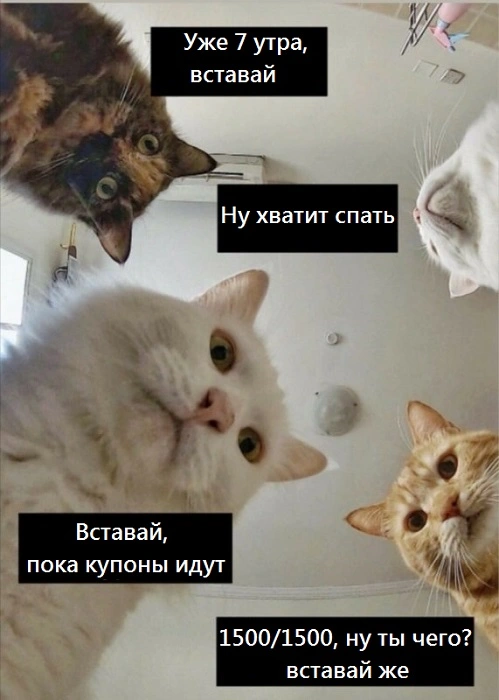 2342333.webp