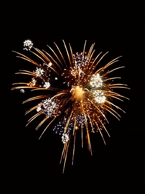 2358CED2-9A74-4D28-8F7C-69A9A2DFA3D5.gif