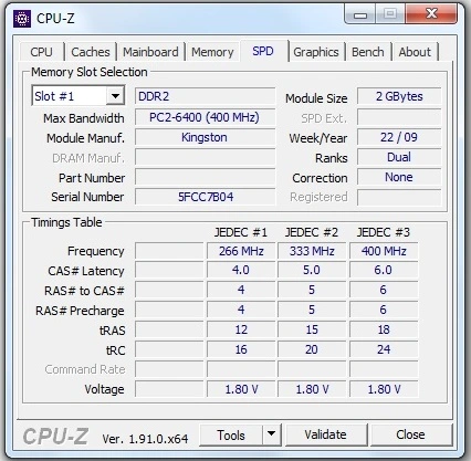 24.webp