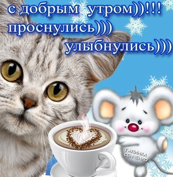 2435034647.webp