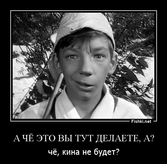 2437.webp