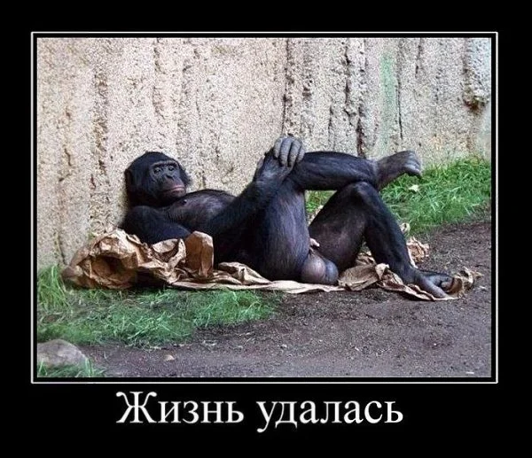 2468969738.webp