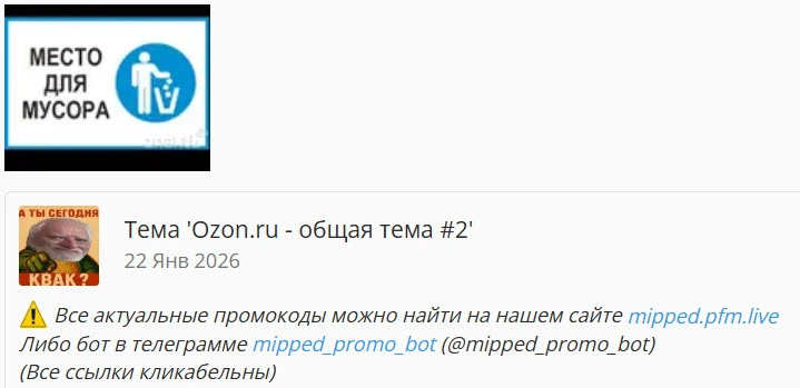 255029.webp