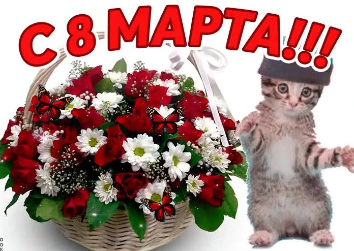 255034.webp
