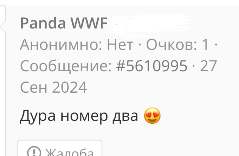 255049.webp