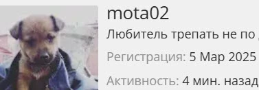 255082.webp