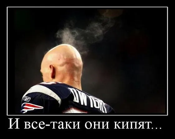 26.webp