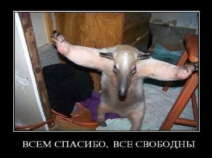 264657763_9500b91cbd23b7bdb7d9e3fad8ef0866_800.webp