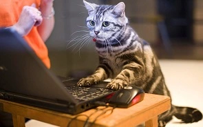 2738776457.webp