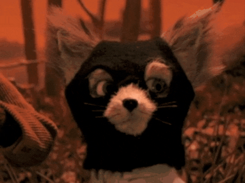 27638242.gif