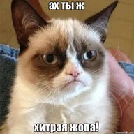28266.webp