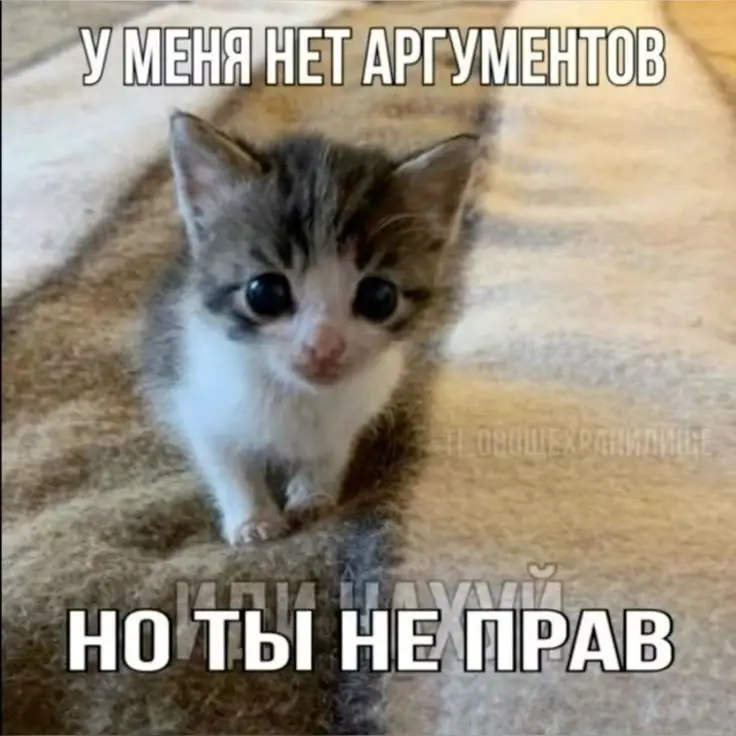2866948b81eb573458ad25f126e0e4bc.webp