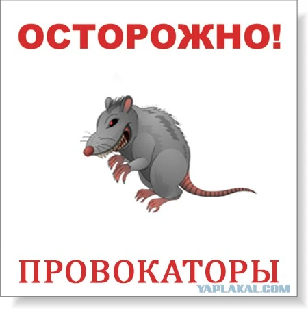 2901680.webp
