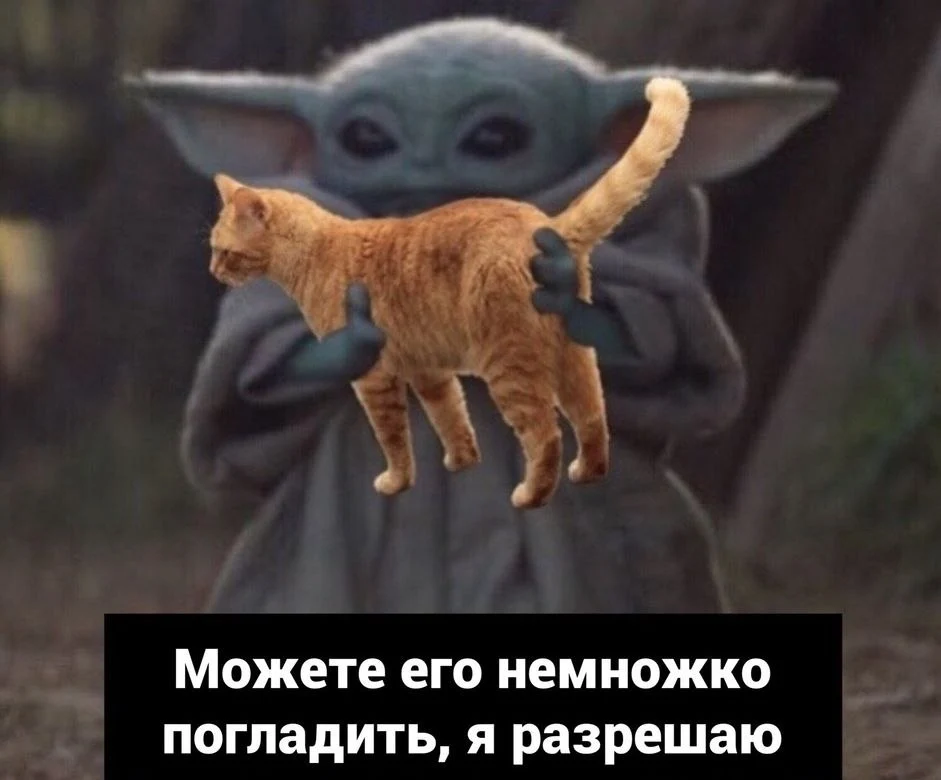 2914637578.jpg