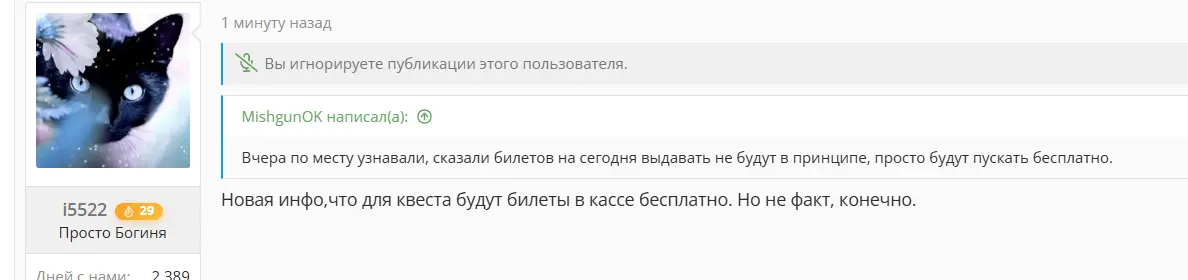 29535.webp