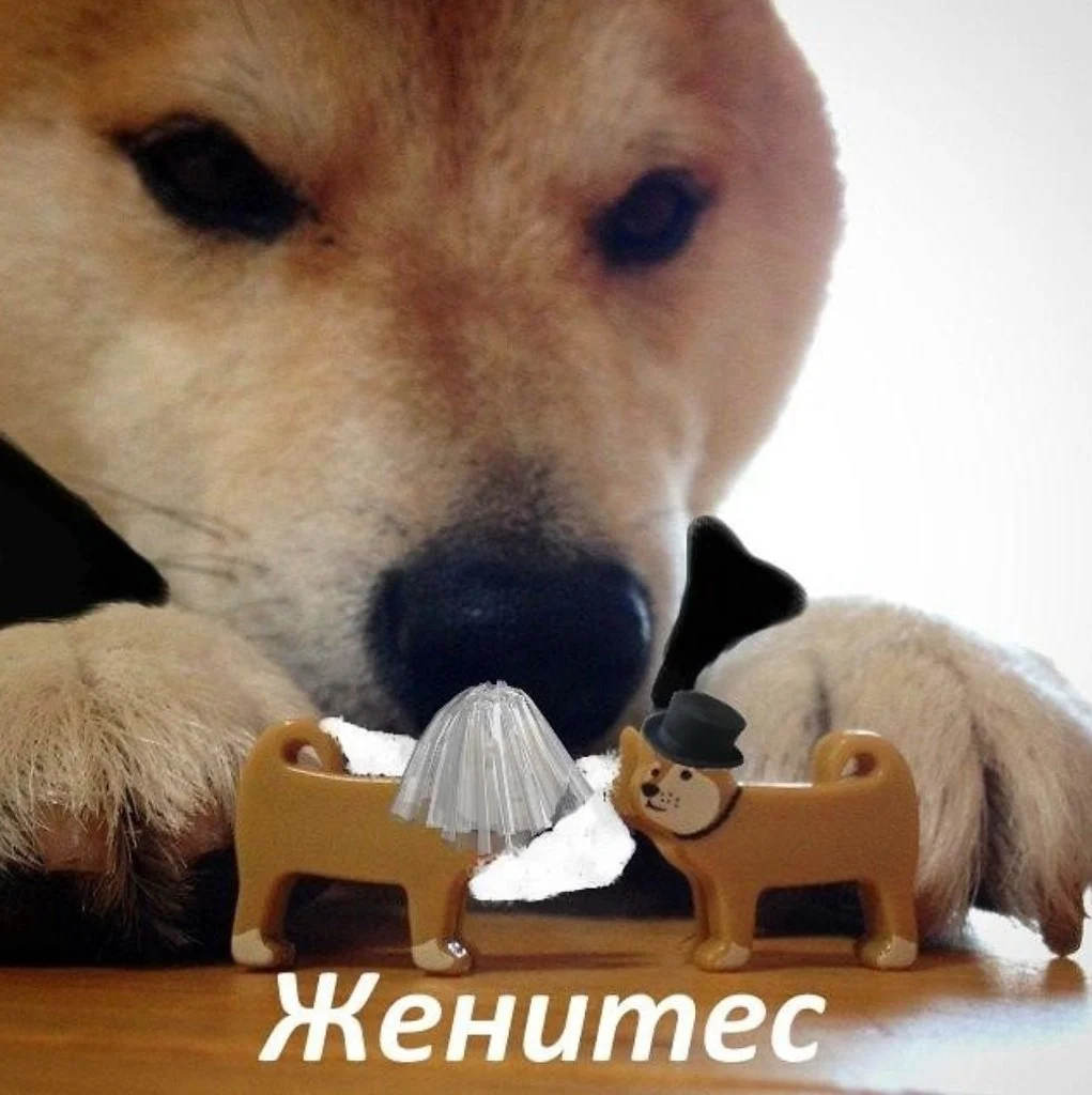 2971308763.webp