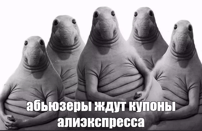 2c8388680210feb2397c43bf8db69871.webp