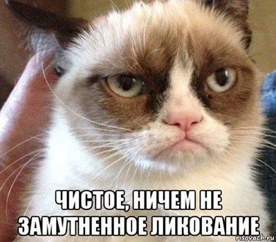 2d315612db124911b1c8d95322b5c8cc.webp