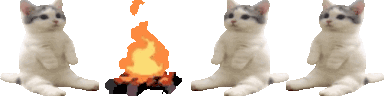 3-cats-around-a-fire-place-fireplace.gif