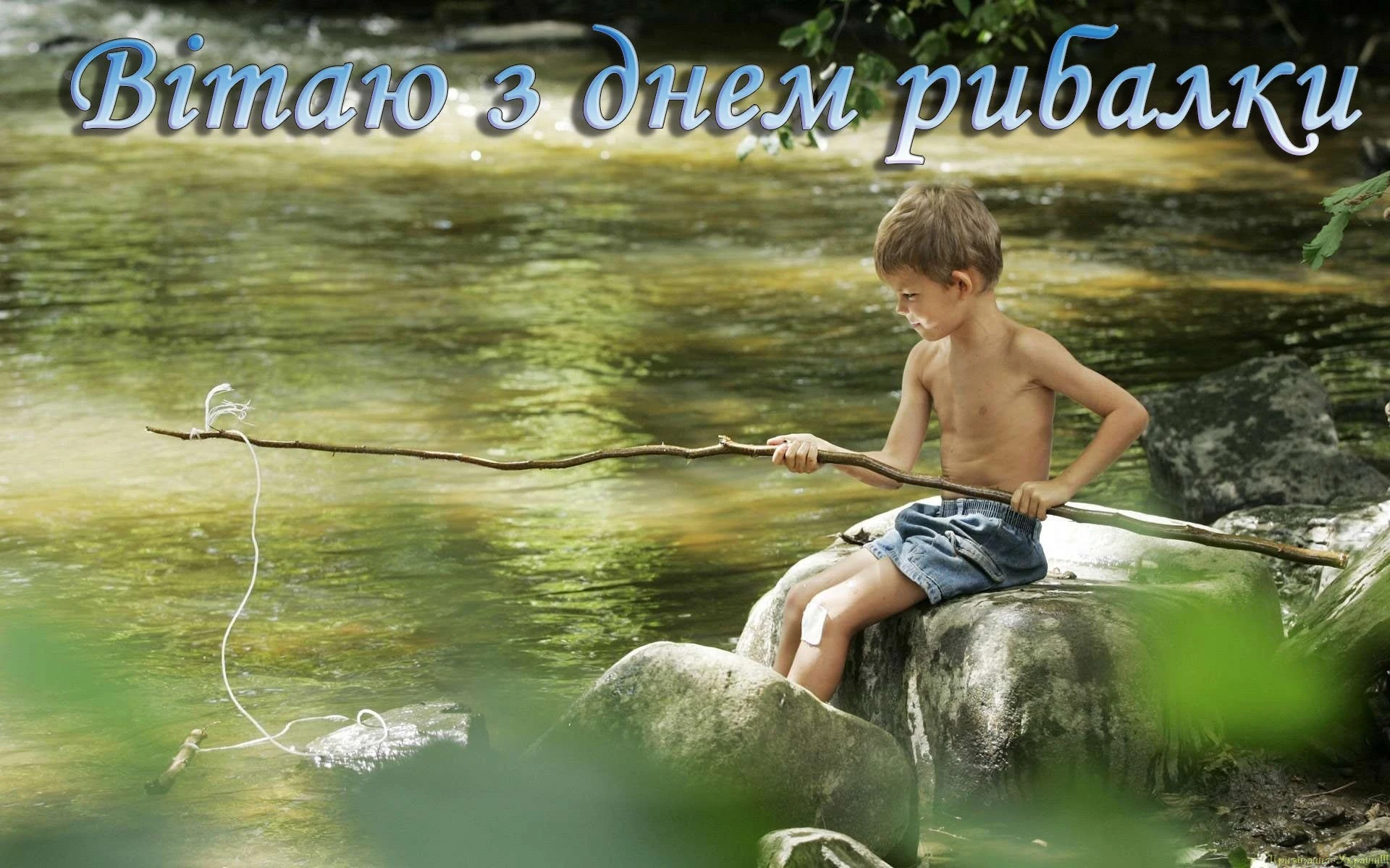3.webp