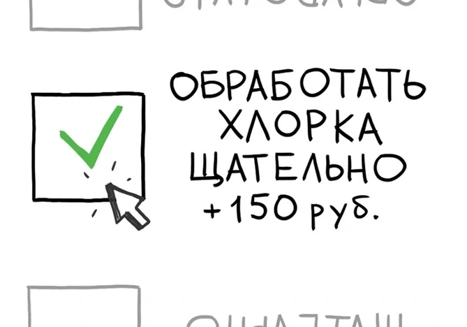 3.webp
