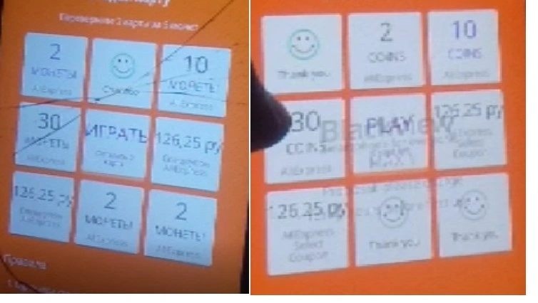 30+10(1).webp