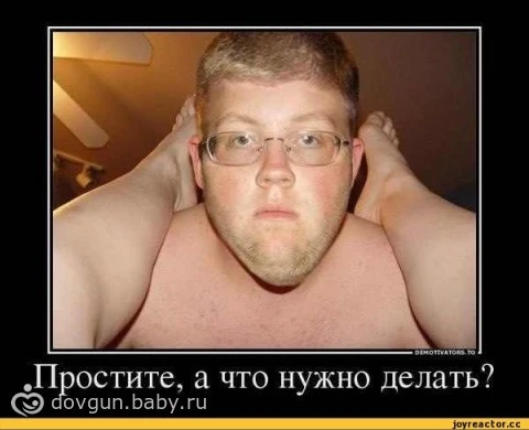 30561132.141142103.webp
