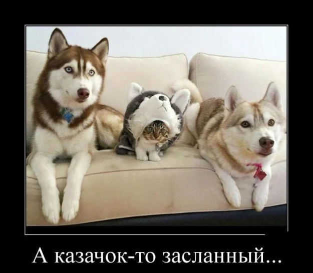 305958_854370.webp