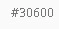 30600.webp