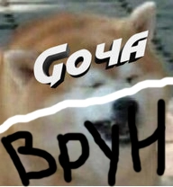 30854.webp