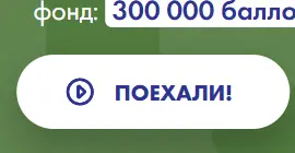 33.webp