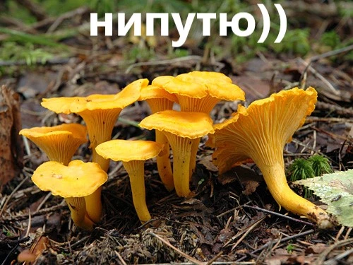 3323 (1).webp
