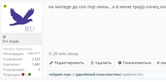 333.webp