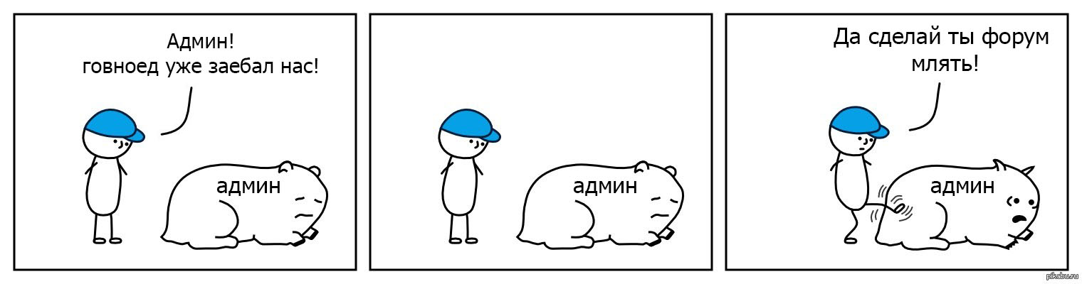 3333.webp