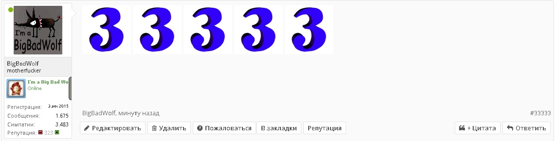 33333.webp