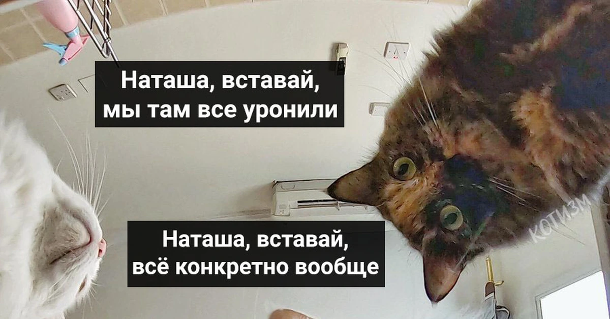 333333.webp