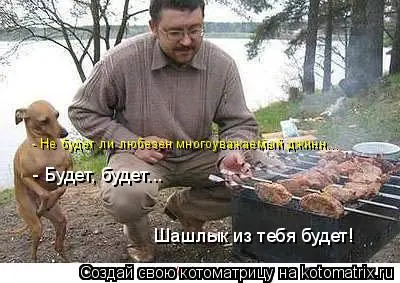 336257.webp