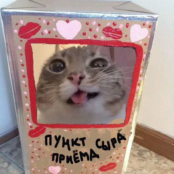 349452981604.0348.webp