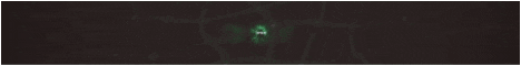 350kb (6).gif