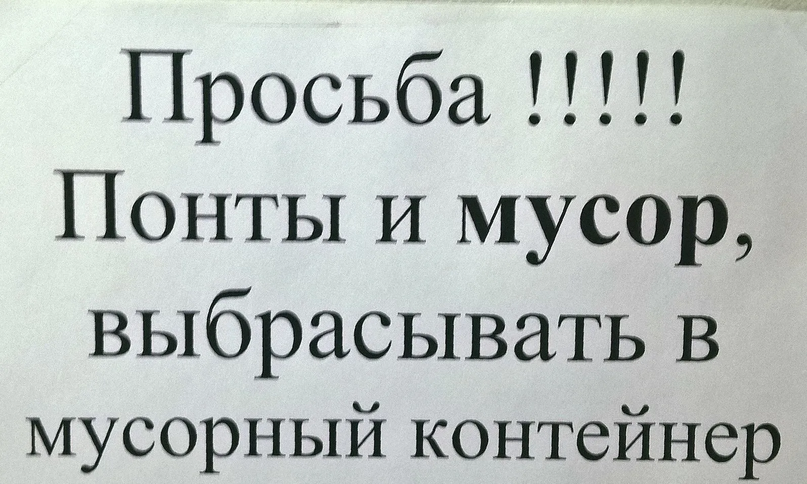 356.webp