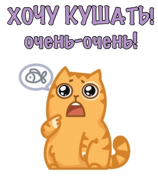 3846430_81764-650x0.webp