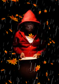38519.webp